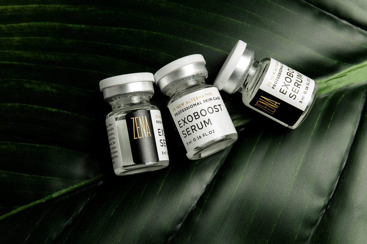 ZENA - Caixa de Séruns EXOBOOST